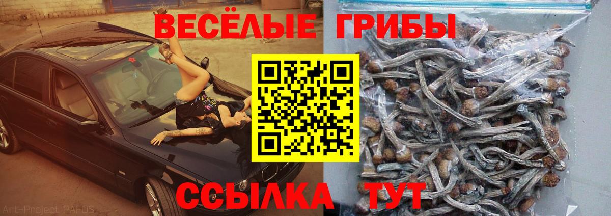 Старая Русса  Галлюциногенные грибы Psilocybine cubensis  Вход с VPN  где купить   Галлюциногенные грибы мухоморы 